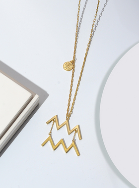 镀金水瓶座时尚风毛衣链