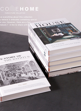 书籍客厅陈列架摆件