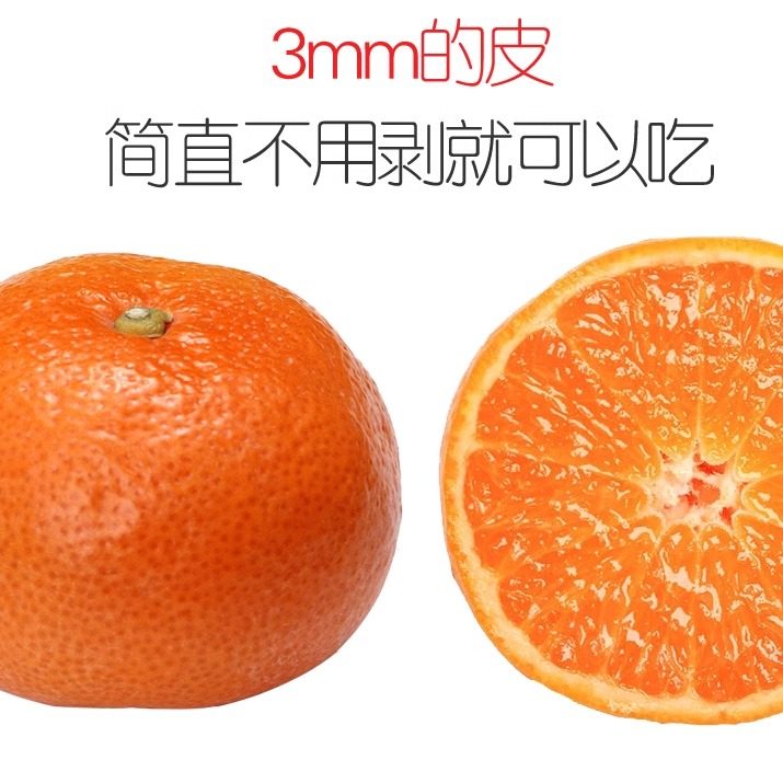国家地标农产品 洞口雪峰蜜桔 5斤新鲜水果橘子现摘皮薄柑橘10斤,淘宝优惠券,粉丝福利购,淘宝优惠卷