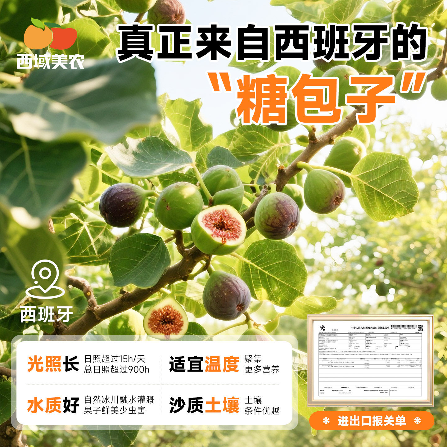 西域美农西班牙蜜多多无花果干318g袋装/128g罐装高膳食纤维零食,淘宝优惠券,粉丝福利购,淘宝优惠卷