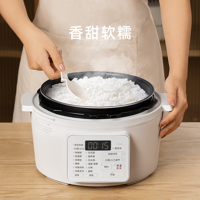 IRIS爱丽思电压力锅家用小型电高压锅全自动多功能饭煲火锅爱丽丝
