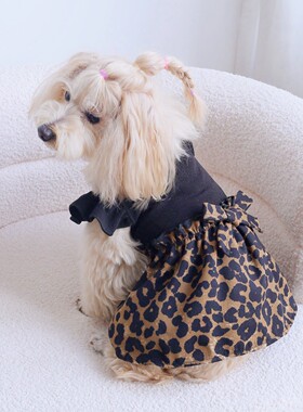 连体豹纹花苞裙同款蝴蝶结猫狗宠物服装