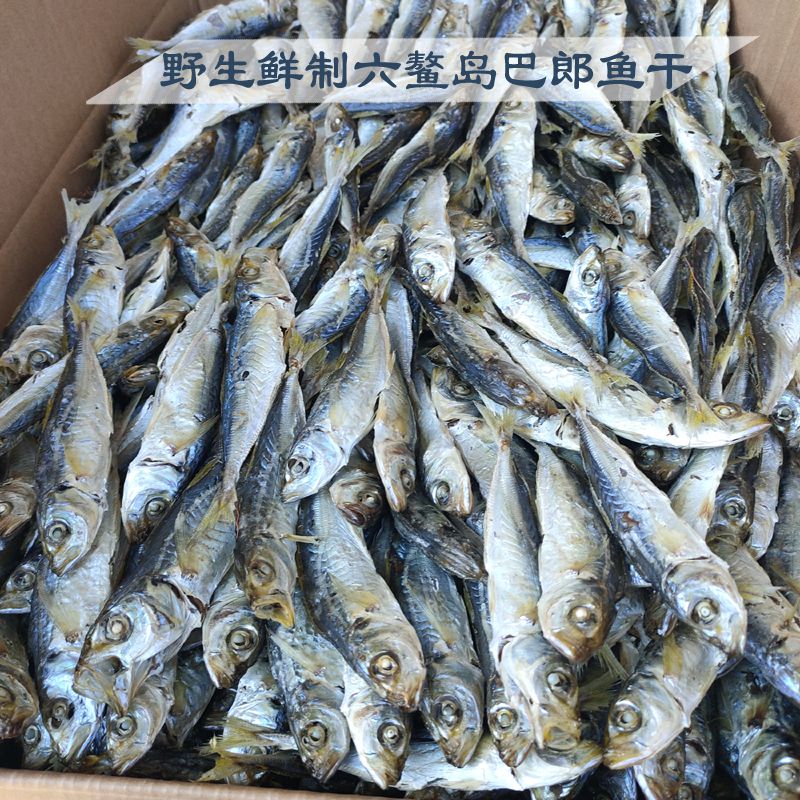 福建特级特产六鳌海新鲜淡干货熟巴浪郎鱼干零食即食散装500g非咸 - 图0