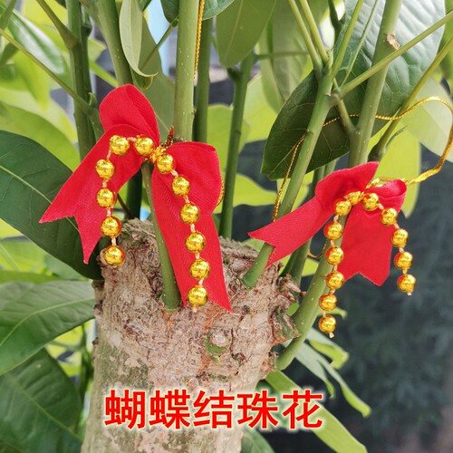 盆景金钱树发财树福发财小灯笼装饰品过新年喜庆植物树上红吊挂件 - 图3