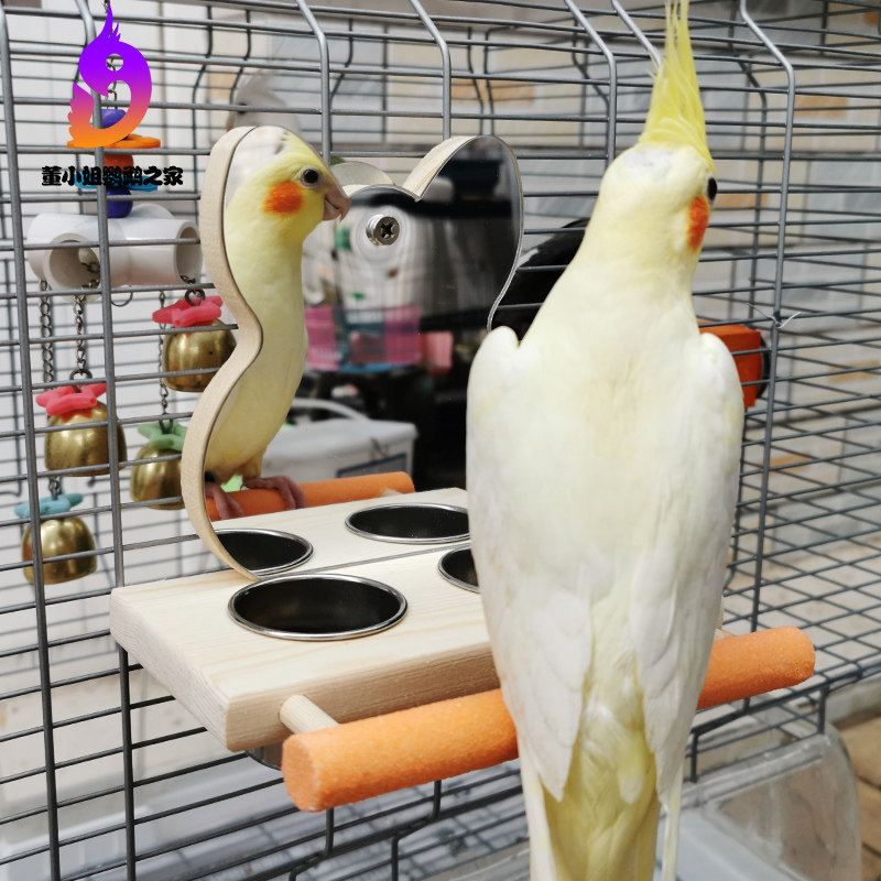 鹦鹉站杆镜子食杯盒不锈钢玩具磨爪玄凤牡丹虎皮中小型鸟笼子用品,淘宝优惠券,粉丝福利购,淘宝优惠卷