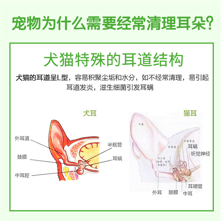 硼酸冰片猫狗滴耳液耳螨狗真菌用于耳螨耳垢清洁除异味60ML买5送1-图2