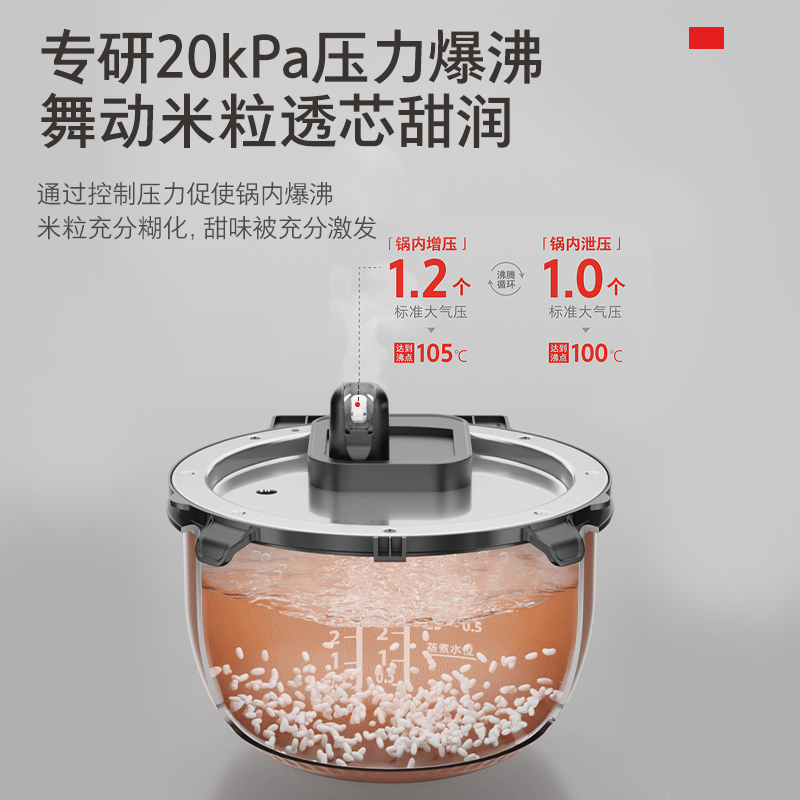 东芝真空沁米炊鲜饭煲10ZWSC家用IH压力电饭煲多功能电饭锅智能3L - 图2