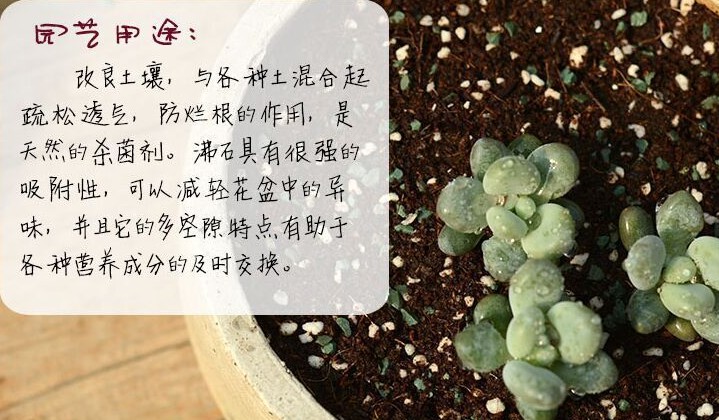 包邮 天然绿沸石防烂根多肉颗粒植料水族 营养杀菌伴土铺面垫底 - 图0