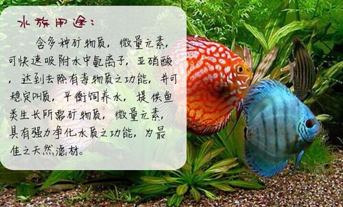 包邮 天然绿沸石防烂根多肉颗粒植料水族 营养杀菌伴土铺面垫底 - 图1