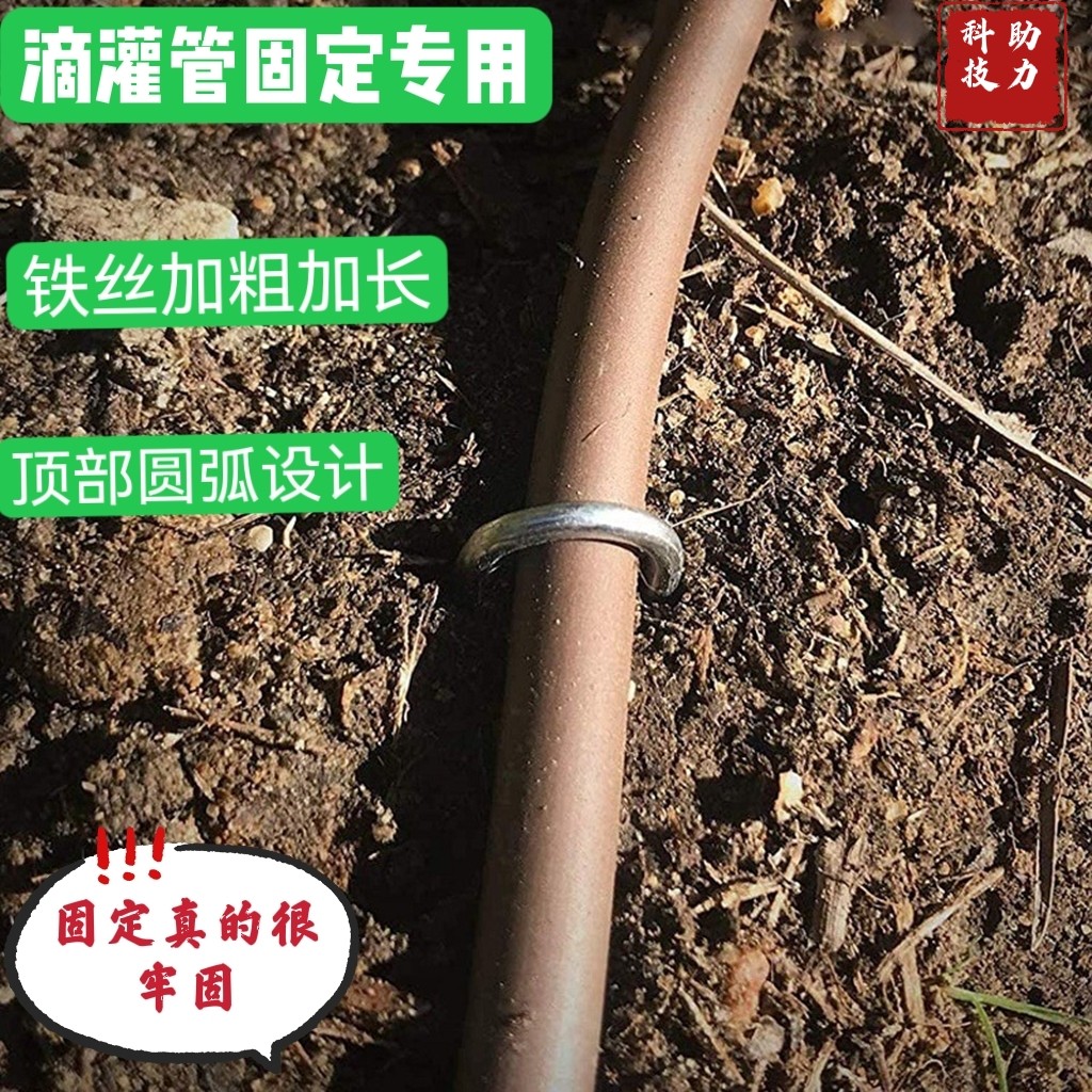 滴灌管铁丝卡子固定器地钉加粗镀锌草坪大棚实用园艺工具订制热卖-图0