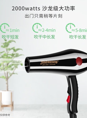 专业发廊大功率家用恒温电吹风机