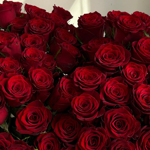 云南昆明鲜花基地直发红玫瑰花水养百合花束鲜切花向日葵 - 图0