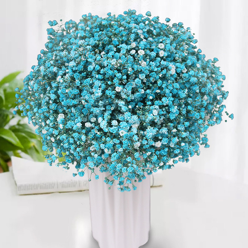云南鲜花满天星超大束鲜切花包花束配花家庭水养办公室卧室插花,淘宝优惠券,粉丝福利购,淘宝优惠卷