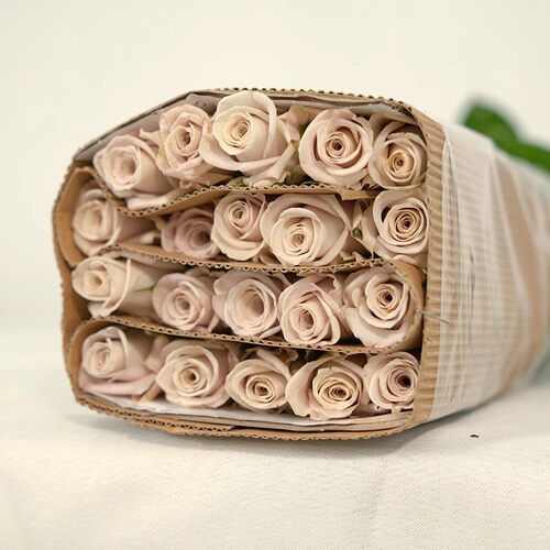 曼塔乌梅子酱稀有玫瑰花鲜花云南直发基地卡布奇诺鲜花鲜切花头小 - 图3