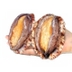Abalone meat, fresh and frozen, teeth removed and eviscerated