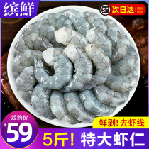 Great Shrimp Rind Fresh Freeze No Ice Class Fresh great Qing Shrimp Benevolent Frozen Shrimp Meat to Shrimp Line Commercial Wholesale 10