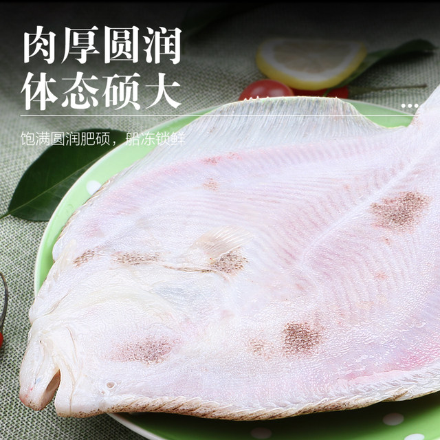 Fresh extra-large turbot, eight-treasure fish, flatfish, plaice, marine fish, seafood, aquatic products, flatfish, flatfish, new year's goods
