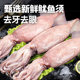 Grade 6A extra-large squid must be treated without any additives!