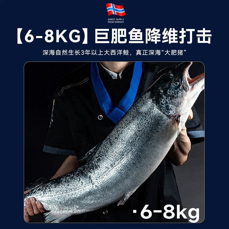 Norwegian Atlantic salmon chilled salmon fresh sashimi