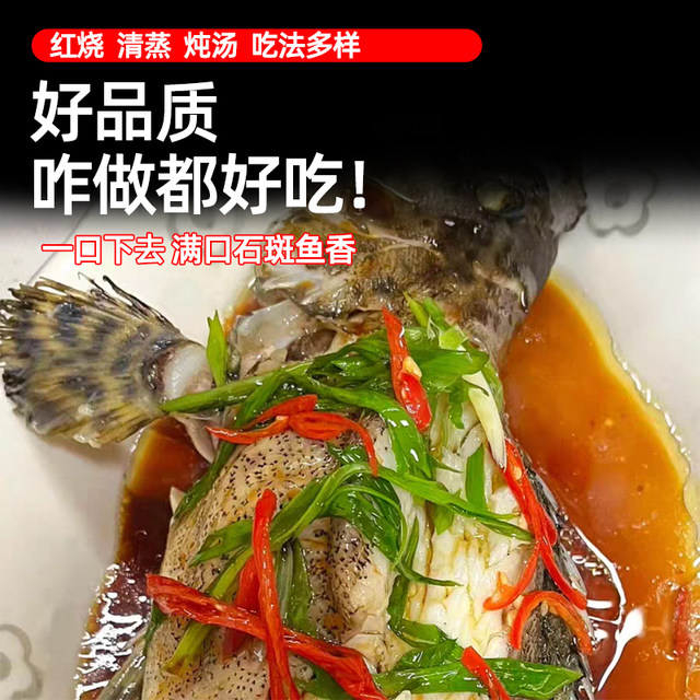 Extra large deep sea grouper fresh and quick frozen