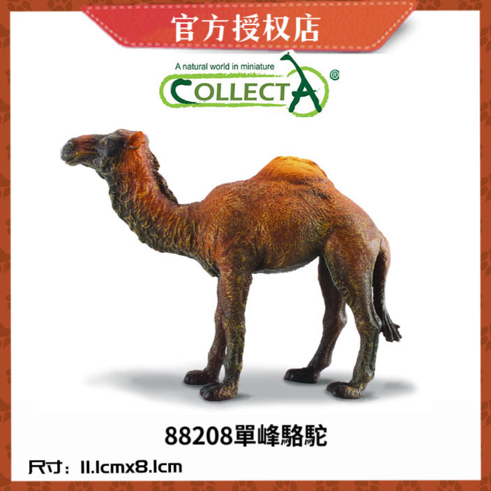 英国CollectA我你他仿真野生动物模型88807双峰骆驼88208单峰骆驼 - 图0