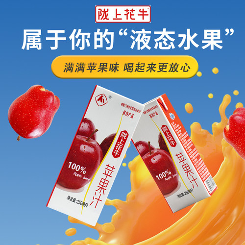 陇上花牛100%苹果汁 花牛苹果无添加糖饮品饮料纯果蔬汁整箱包邮 - 图0