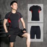 Шелковый быстросохнущий летний комплект для спортзала для тренировок, для бега