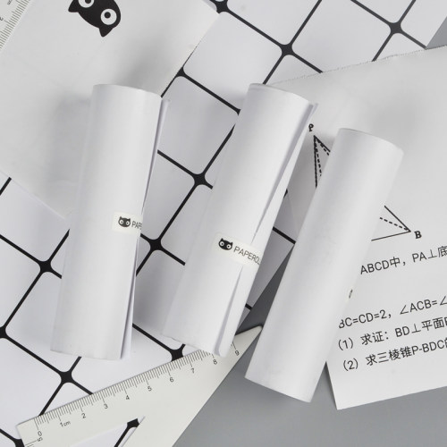 喵喵机官方打印纸P1/P2/P3/F1/C1S/C2/N1/N2官方十年定制热敏纸110*30mm错题纸5730不含双酚A不干胶纸A4试卷 - 图0