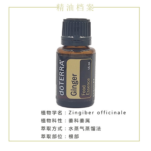 多特瑞生姜精油单方Ginger oil 美国doTERRA官网正品15ML香薰按摩 - 图1
