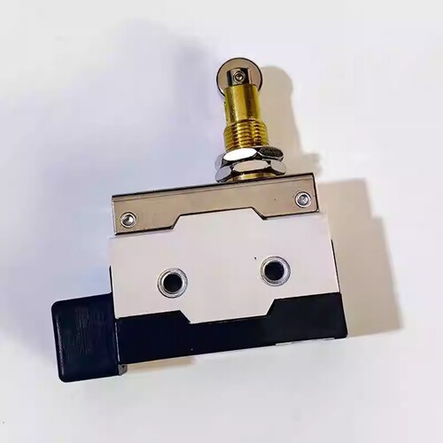 限位开关D4MC-5020行程开关 125VDC 5A 250VAC 10A 铜件银点SNJDQ - 图2