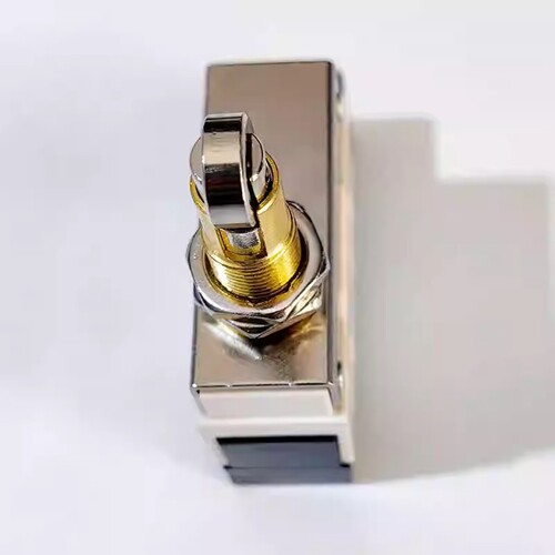 限位开关D4MC-5020行程开关 125VDC 5A 250VAC 10A 铜件银点SNJDQ - 图0