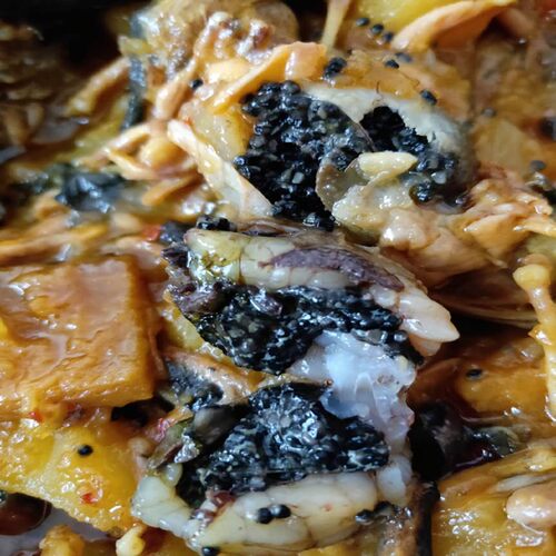 东北林蛙鲜活长白山活林蛙 深山泉水母豹子满籽满油活雪蛤 哈士蟆 - 图1