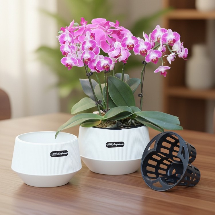 蝴蝶兰专用盆小盆栽3棵装拼组盆矮钵兰花杯透气定植篮创意异形盆,淘宝优惠券,粉丝福利购,淘宝优惠卷