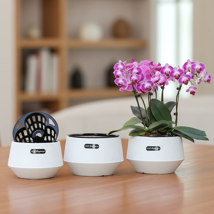 蝴蝶兰专用盆小盆栽3棵装拼组盆矮钵兰花杯透气定植篮创意异形盆,淘宝优惠券,粉丝福利购,淘宝优惠卷