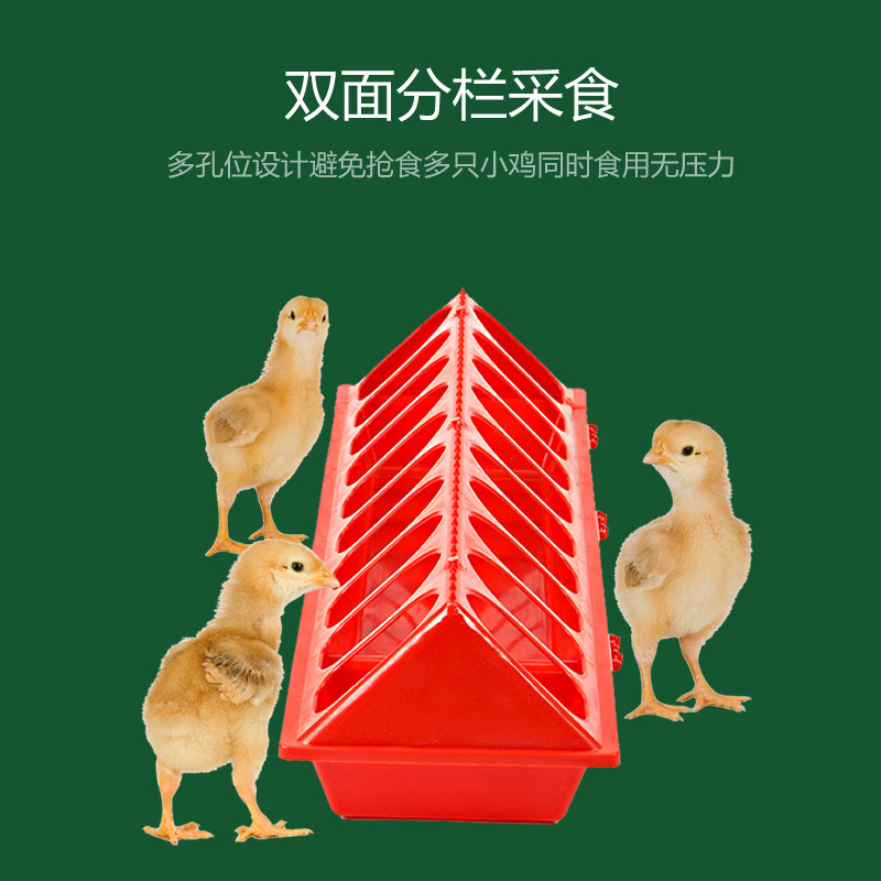 鸡食槽水槽一体新款长方形大号鸡专用防刨防撒防溅喂食器家用食槽,淘宝优惠券,粉丝福利购,淘宝优惠卷