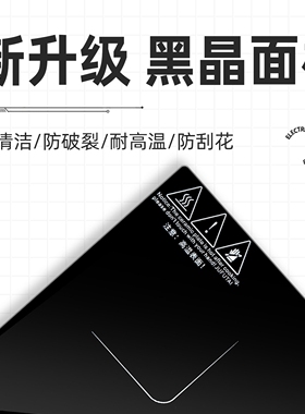 标准一单元IGT电磁炉桌户外露营