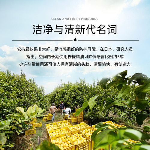 荨尔有机黄柠檬精油10ml单方纯精油舒缓压力清洁毛孔提亮肤色控油 - 图0