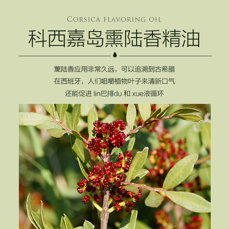 薰陆香单方精油 毫升 5 薰陆香精油 Org. 法国科西嘉岛 幽兰香榭 薰陆香单方精油 毫升 5 薰陆香精油 Org. 法国科西嘉岛 幽兰香榭
