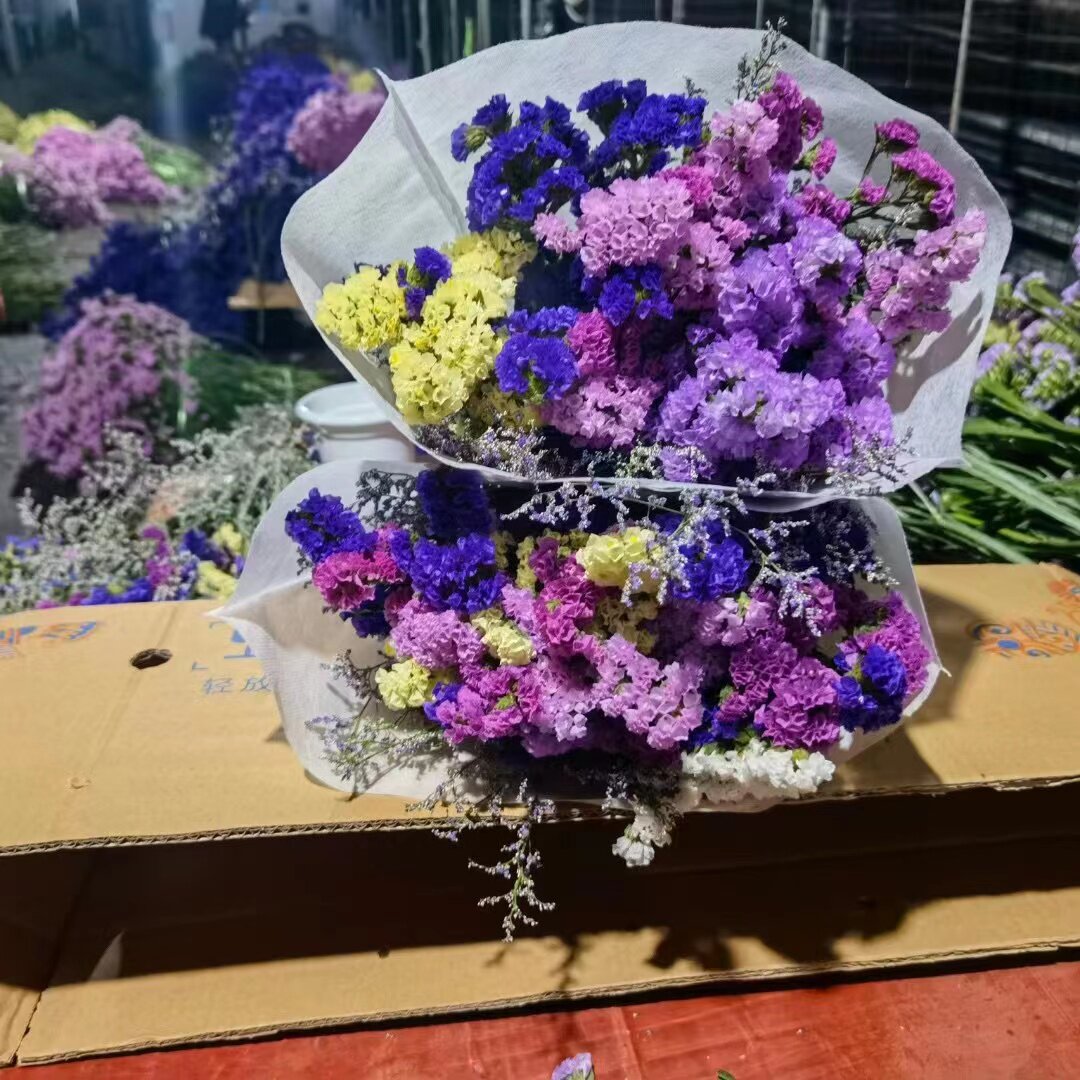 【云南基地直发】勿忘我半干花真花鲜花鲜艳花束风干客厅装饰摆件