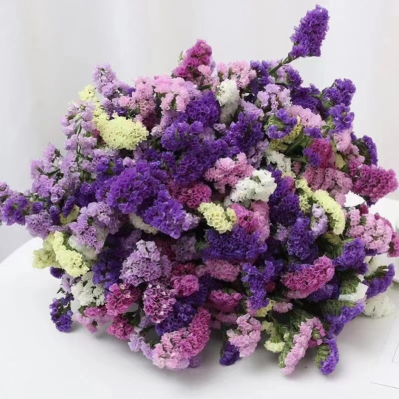 【云南基地直发】勿忘我半干花真花鲜花鲜艳花束风干客厅装饰摆件