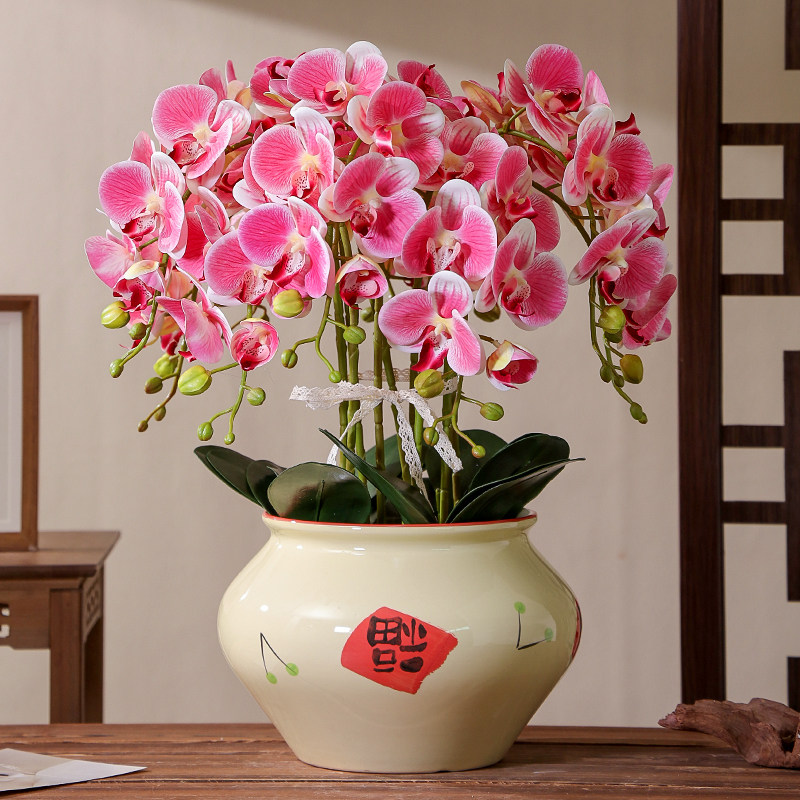 中国风陶瓷花盆家用新中式冬青蝴蝶兰专用大号兰花盆栽轻奢高级感,淘宝优惠券,粉丝福利购,淘宝优惠卷
