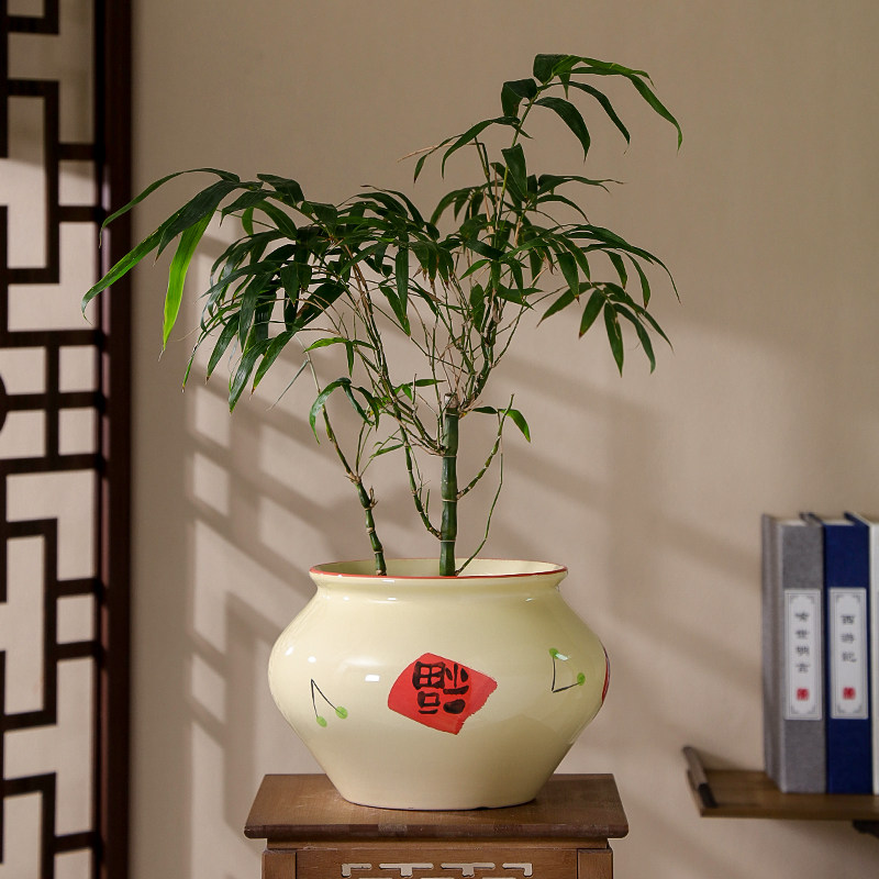 中国风陶瓷花盆家用新中式冬青蝴蝶兰专用大号兰花盆栽轻奢高级感,淘宝优惠券,粉丝福利购,淘宝优惠卷