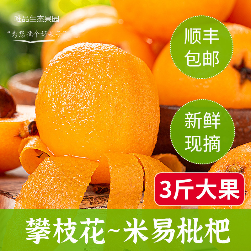 四川攀枝花米易枇杷新鲜正宗3斤大果（45个左右）顺丰包邮