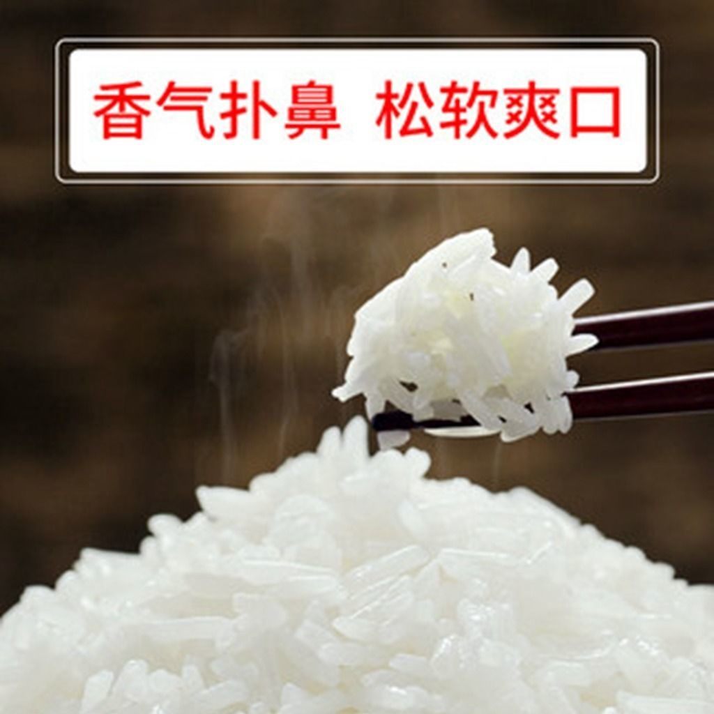 2020长粒香南方泉水晚稻新米新大米 西襄记大米