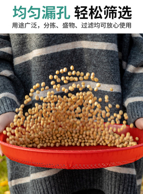 塑料圆簸箕家用筛子商用晒东西筛米大小晒筐细孔过滤竹编晒菜网