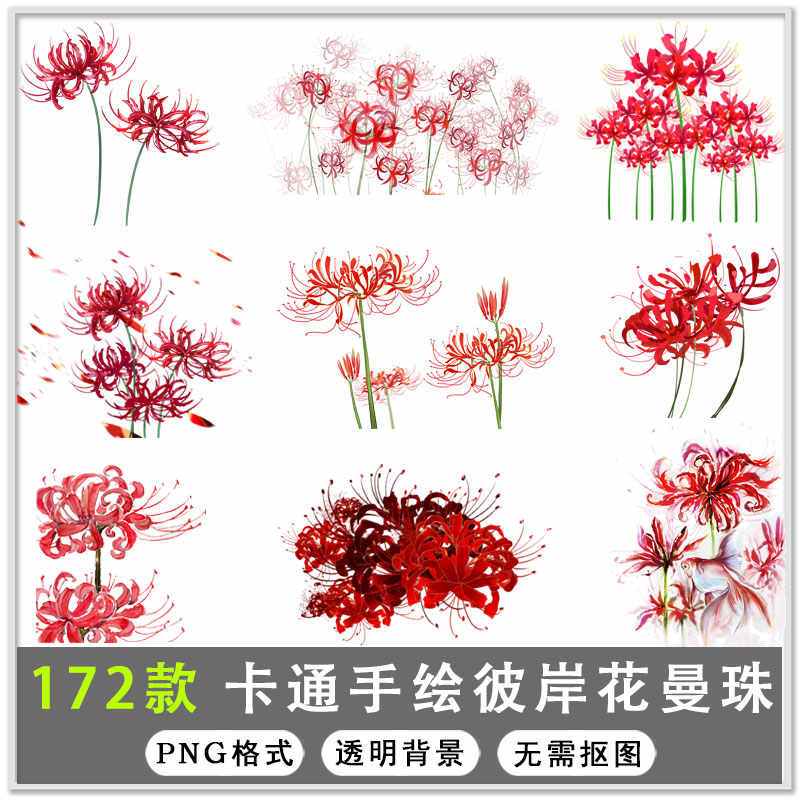 彼岸花素材 新人首单立减十元 21年7月 淘宝海外