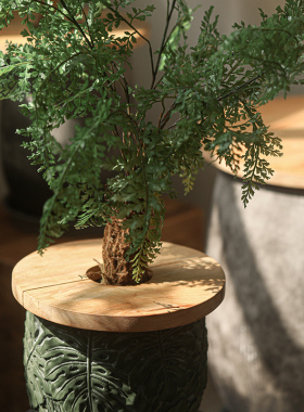 猫咪防扒土神器实木花盆装饰盖