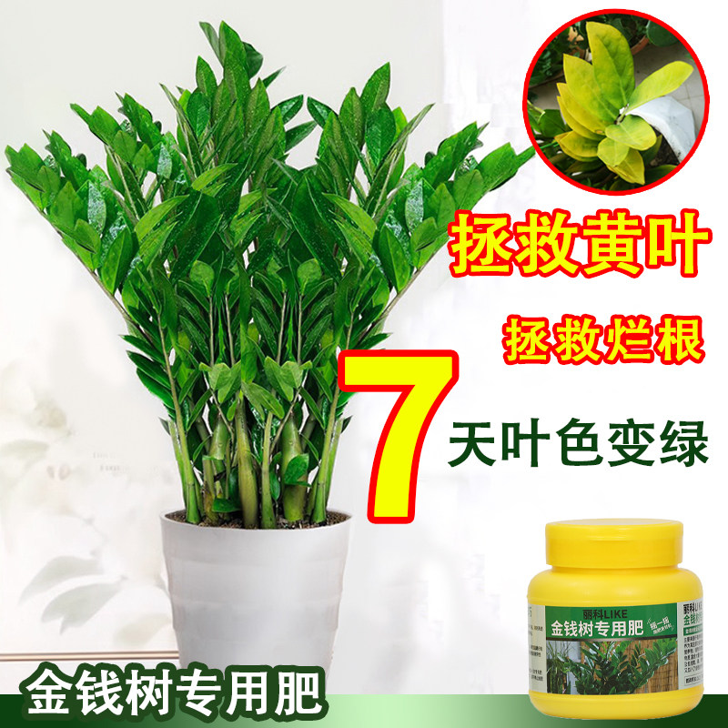 金钱树肥料专用肥长效缓释肥招财树盆栽肥料营养液通用绿植花肥料,淘宝优惠券,粉丝福利购,淘宝优惠卷