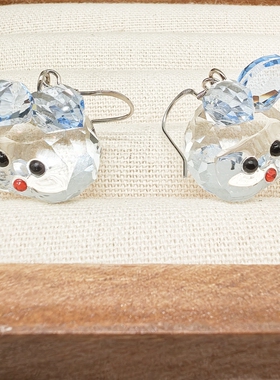 奥地利水晶耳环纯银项链