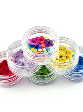 diy干花真花美甲滴胶手机壳材料